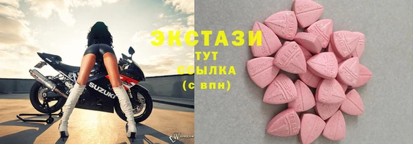 индика Слюдянка