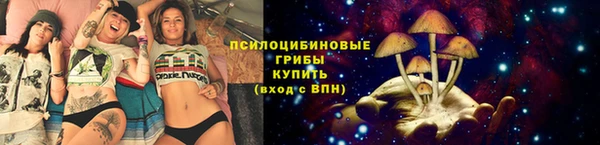 прущие крисы Богородск