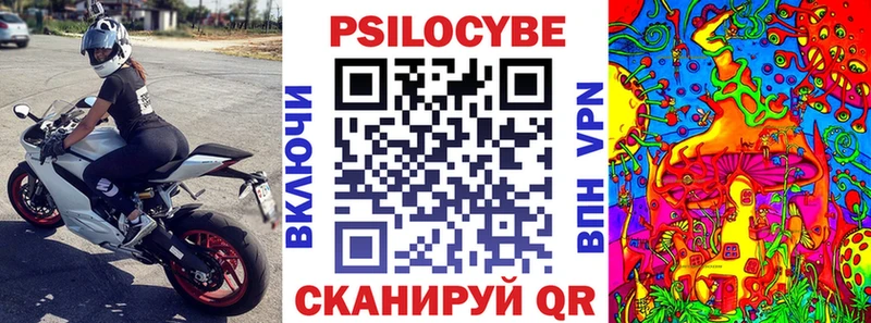 где купить наркоту  Медынь  Псилоцибиновые грибы Cubensis 